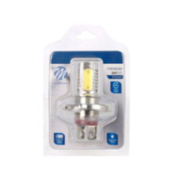 bulb LED H4 6 W 24 V white