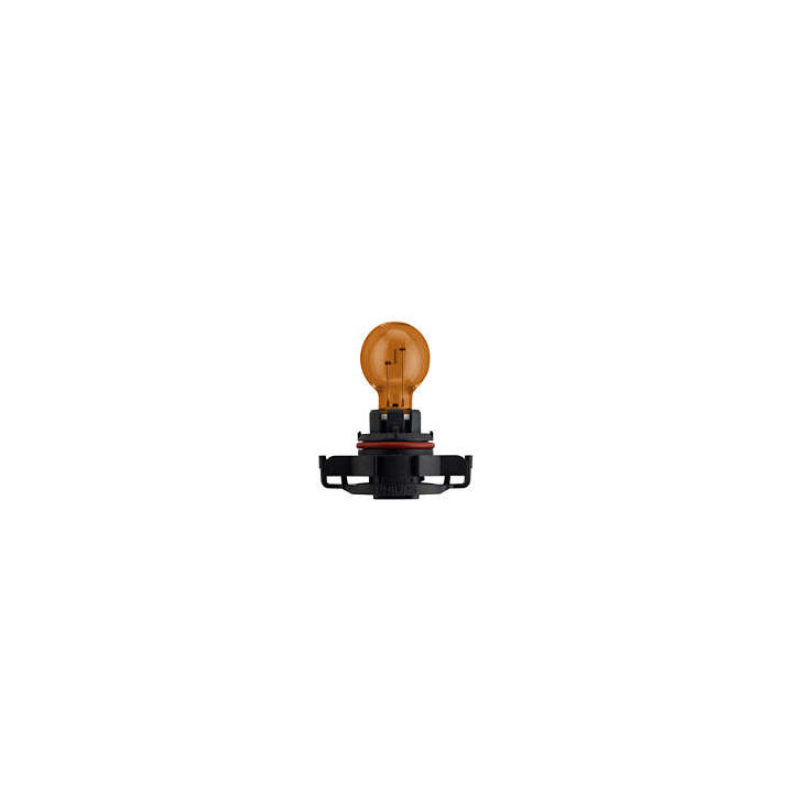 Philips PSY19W 12V19 PG20/2 C1