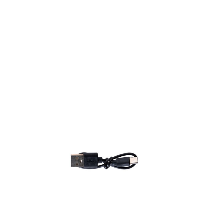 LED-Schlüsselanhänger mit COB-Flutlicht, USB C