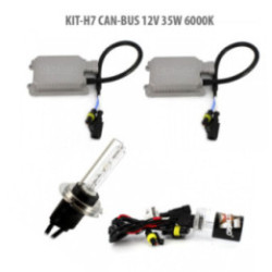 H7 CAN-BUS 12 V 55 W 6000 K