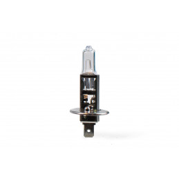 Halogenlampe M-TECH H1 P14.5s 55W 12V