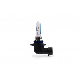 Halogen-Glühlampe M-TECH HB3 9005 12 V 60 W P20d