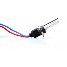 Xenon Set M-Tech BASIC H7 8000K