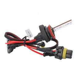 Xenon Set Digital M-Tech BASIC AC H11 5000K
