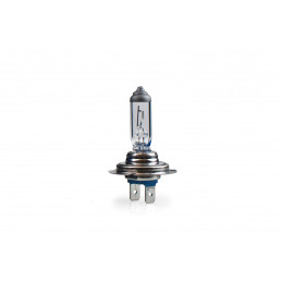 Halogenlampe M-TECH Premium H7 55W PX26d 12V