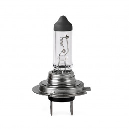 M-TECH Heavy Duty H7 24 V 70 W PX26d