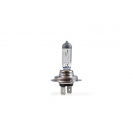 Halogenlampe M-TECH H7 PX26d 100W 12V