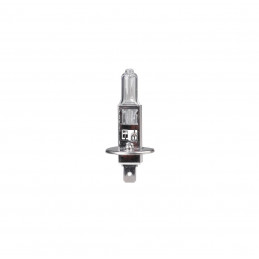 Halogenlampe M-TECH H1 P14.5s 100W 12V