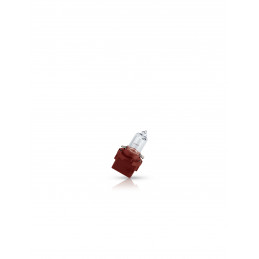 Philips B10D brown Halogen 12V3W B10d brown CP