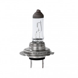 Halogenlampe M-TECH H18 65W PY26D-1 12V