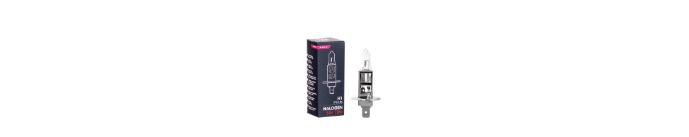 M-TECH 24V